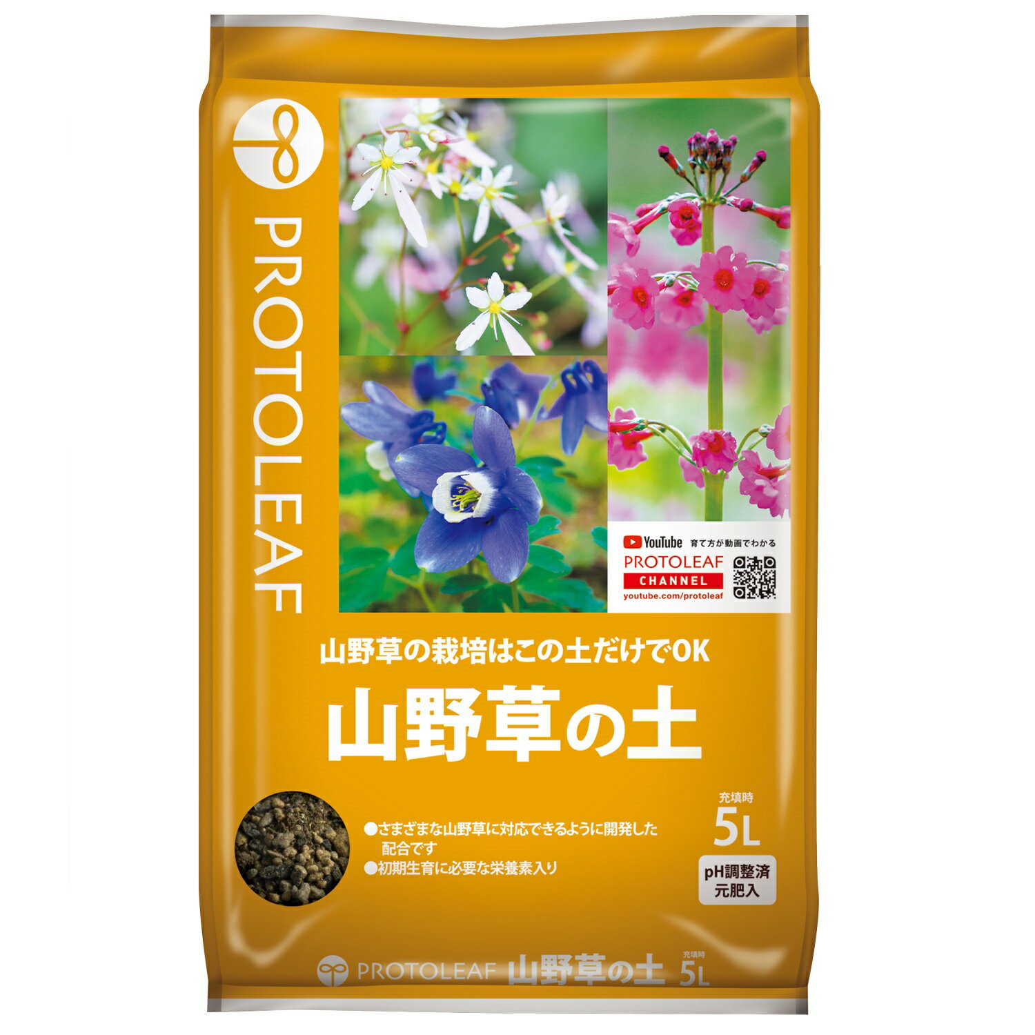 ��������� 5L �ץ��ȥ꡼��