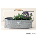 フレンチシルバーブリキ 3397 手付き楕円 グリーンハウス