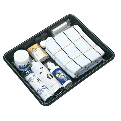 �ʥ����ȥ쥤 L Z24 305��385��55mm SEIWA