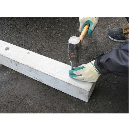 ���󥫡��ԥ�M85 ��2���ȡ� 5���å� NXstyle(�ͥ���������)