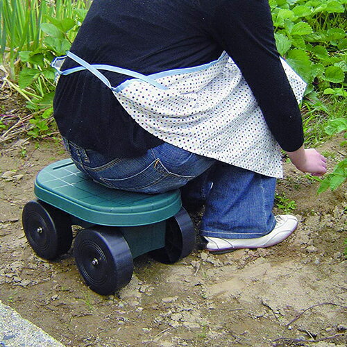 �ե�����ɥ����ȥ���˥� ���꡼�� ���꡼��ѥ�