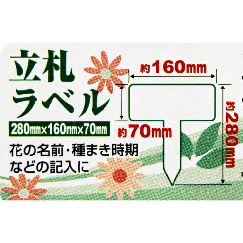 Ω����٥� �� 1PCS ���եƥ���3