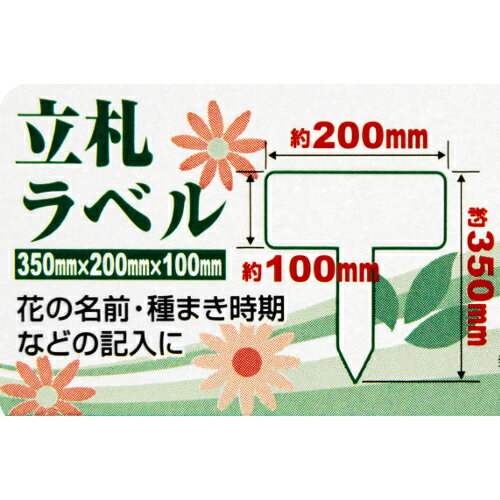 Ω����٥� �� 1PCS ���եƥ���3