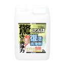 復活洗浄剤 ステンレス用 0-414-003 2L 2L カンペハピオ