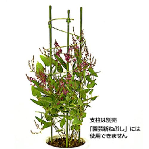 ラセンあんどん 大 緑 10〜12号鉢用 タキロンのサムネイル