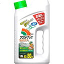 ★10%OFFクーポン 〜25日23:59迄★ラウンドアップ マックスロードAL 1.2L 1.2L 日産化学工業
