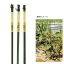 ナスとピーマンのやぐら 120cm DCM