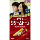 ビゲン クリームトーン 6G 自然な褐色 40g+40g Bigen