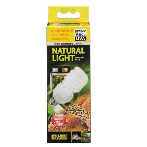 ナチュラルライト PT2191 26W エキゾテラ