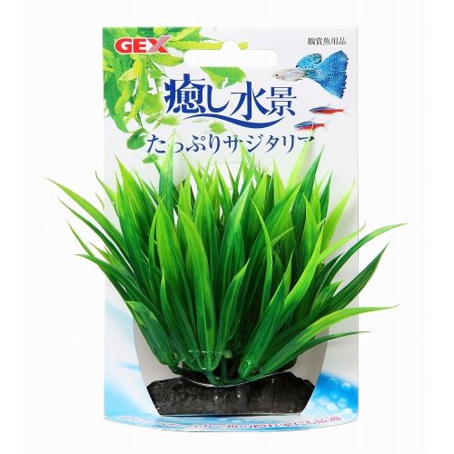 癒し水景 たっぷりサジタリア 癒し水景