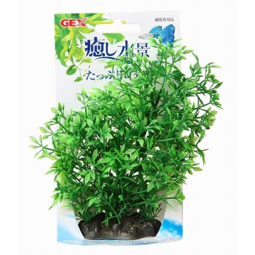 癒し水景 たっぷりロタラ 癒し水景