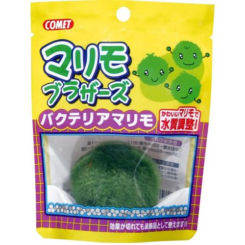コメット マリモブラザーズ バクテリアマリモ コメット