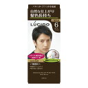 ワンプッシュケアカラー(医薬部外品) ダークブラウン 6:ダークブラウン 1剤50g/2剤50g LUCIDO(ルシード)