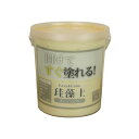 Easy&Color 珪藻土 ベージュ 5kg ワンウィル
