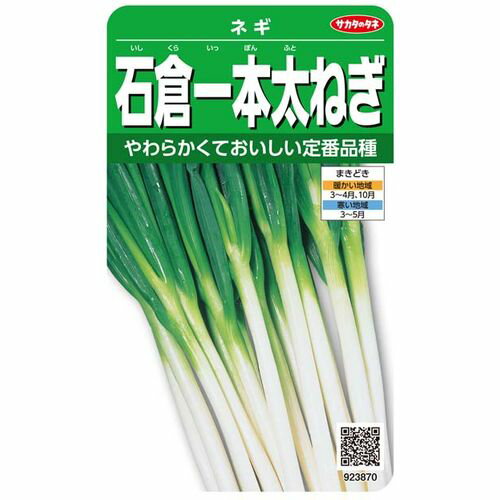 やわらかくておいしい定番 ネギ・ニラ ●サカタのタネの石倉一本太　ネギをDCMでは販売しております。その他の花・野菜・観葉用品も多数取扱っております。 暖地での蒔き時期　3〜4月、10月 ●こちらの商品は配達時間帯指定を承ることはできません。