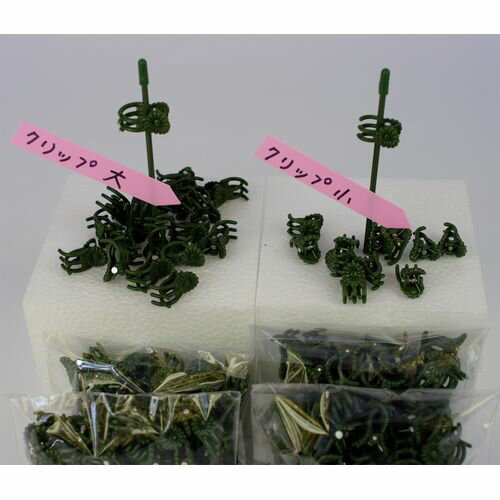 �����Ԥ���侩 ��ñ����å� �� 50������ �� ��ʿ�������å�