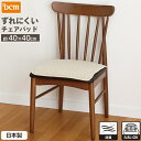 ずれにくいチェアパッド 40×40cm アイボリー DCM