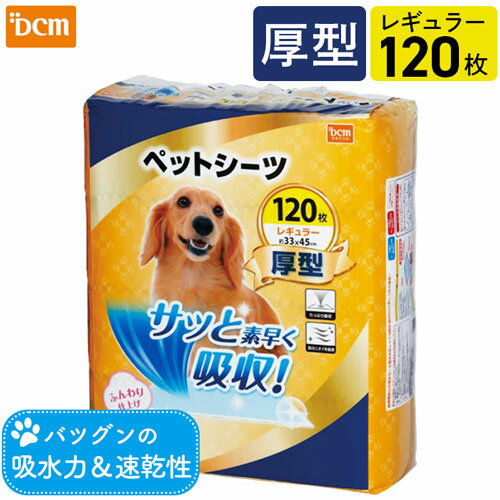 ペットシーツ 厚型 レギュラー120枚 DCM 瞬間吸収 速乾 脱臭 白色 猫 犬 うさぎ トイレ シート シーツ ペットシート 厚型ペットシーツ ペットトイレ