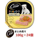 2ヶ月からの子いぬ用 ビーフ にんじん&たまご入り ボール売り 100g×24個 シーザー