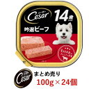 14歳 吟選ビーフ ボール売り 100g×24個 シーザー