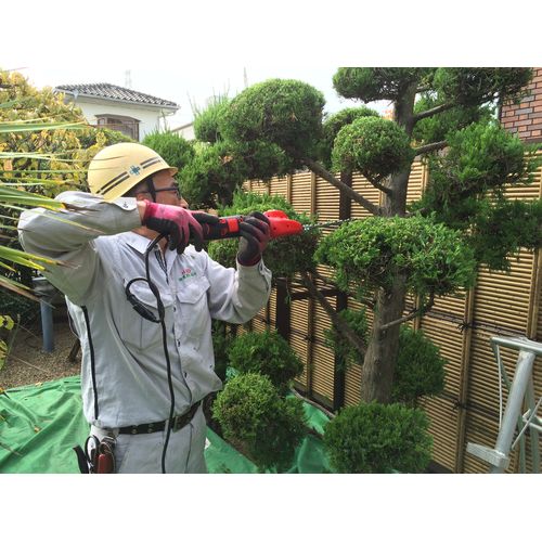 �ϥ��ѥ��ư�Хꥫ�� ���를 ����ѥ��� DKC-0025-R ���륹�����ݥ졼�����ʳ���