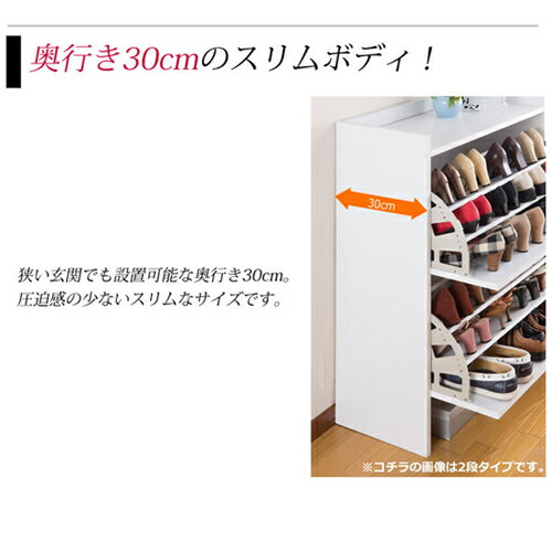 �ʥ��ڡ������塼����å� FM-1002(DBR) �������֥饦�� ��75x����30x��96.5cm ���󡦥ϡ��٥���