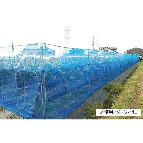 �����ͥå� �ܹ�4mm 2MX5M ��2m�߹⤵5m ���եƥ���3