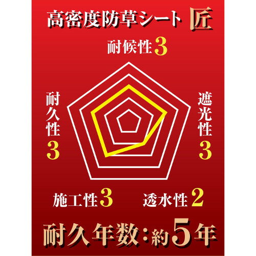 ��̩�����𥷡��� �� 0.5MX10M ��0.5m�߹⤵10m ���եƥ���3