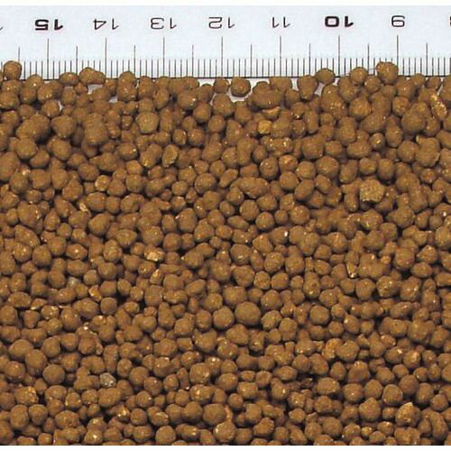 �ԥ奢������ 4kg GEX