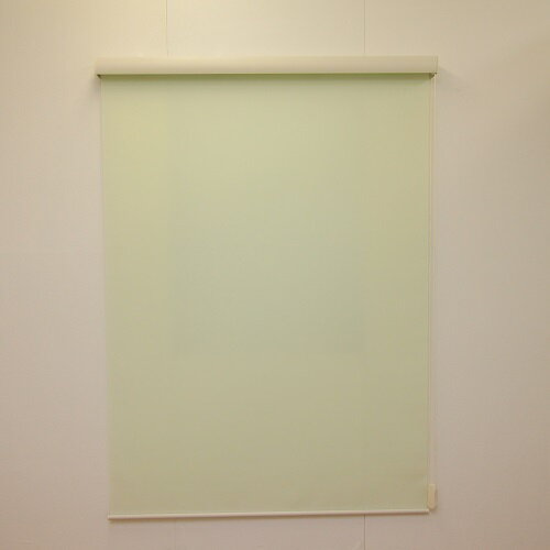 カバー付 ロールスクリーン エクシヴ 無地タイプ グリーン 60×135cm グリーン 60×135cm フルネス