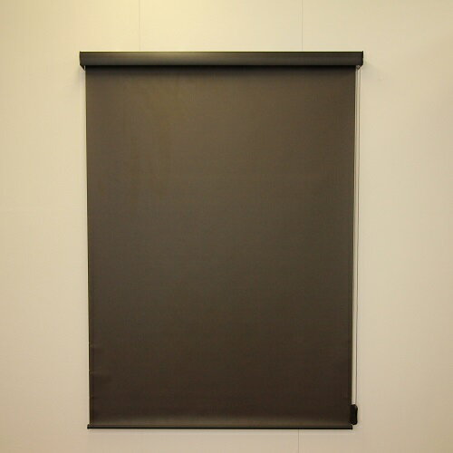 カバー付 ロールスクリーン エクシヴ 遮光タイプ 遮光ブラウン 180×220cm 遮光ブラウン 180×220cm フルネス