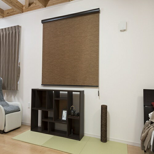 カバー付 ロールスクリーン エクシヴ ナチュラルタイプ 天然調ブラウン 135×220cm 天然調ブラウン 135×220cm フルネス