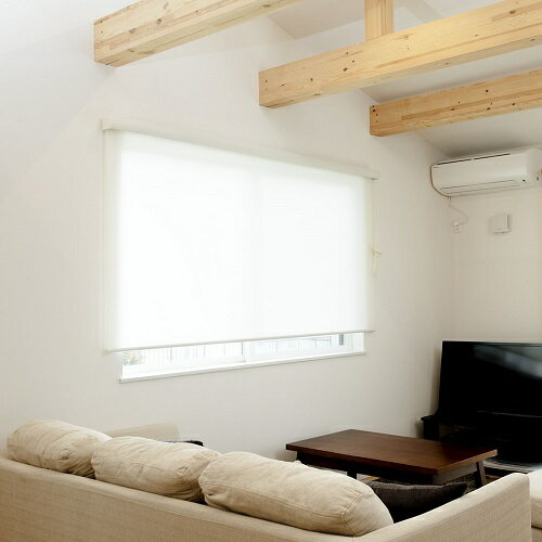 カバー付 ロールスクリーン エクシヴ 防炎無地タイプ 防炎無地オフホワイト 165×220cm 防炎無地オフホワイト 165×220cm フルネス