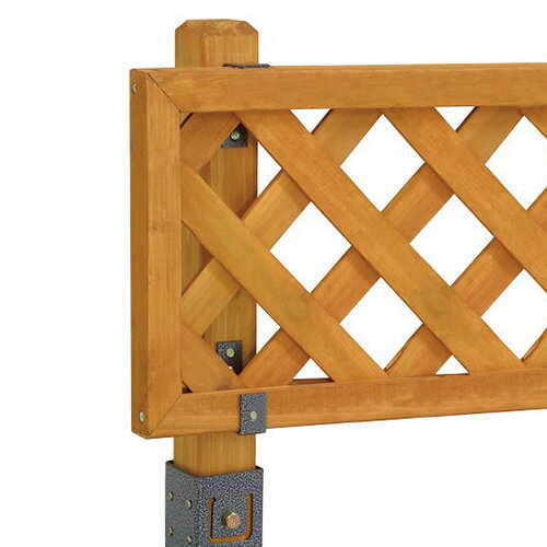 ��ƥ���������ե꡼�ݡ��� TKL-11 �������硼