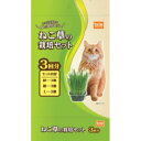 ★10%OFFクーポン 15日00:00〜16日01:59迄★ねこ草の栽培セット 3回分 DCM