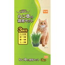 ねこ草の栽培セット 3回分 DCM