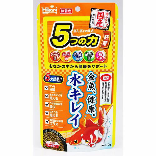 きんぎょのえさ5つの力 胚芽 70g きんぎょのえさ