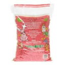 パインの木の上で 6L アイランドトレード