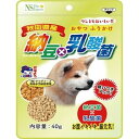 納豆×乳酸菌 40g 犬用 NSバイオジャパン