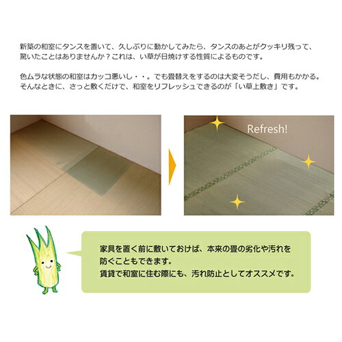 裏貼り い草上敷き ござ 国産 F不知火 フリーカット ナチュラル 団地間2畳 ナチュラル 団地間2畳 IKEHIKO [2]