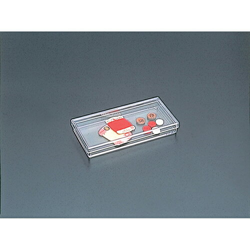 クリアケース CSD-BR4A W217xD106xH30mm フタ付き キャパティ