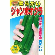 金の種 ジャンボオクラ オクラ アタリヤ農園のサムネイル
