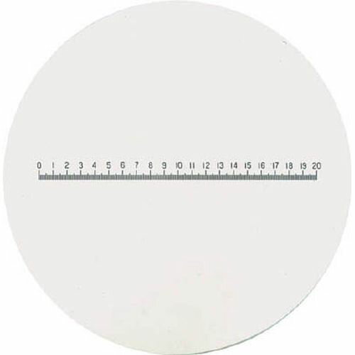 ガラススケ-ル S208_8766 #S208 リーフ