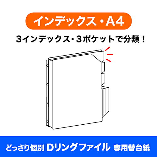 �ɤä������D��󥰥ե��������ѥե����� CH-4134C-4H A4Index/3�� Nakabayashi