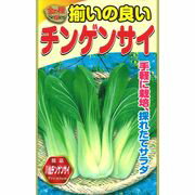 金の種 揃いの良いチンゲンサイ チンゲンサイ アタリヤ農園