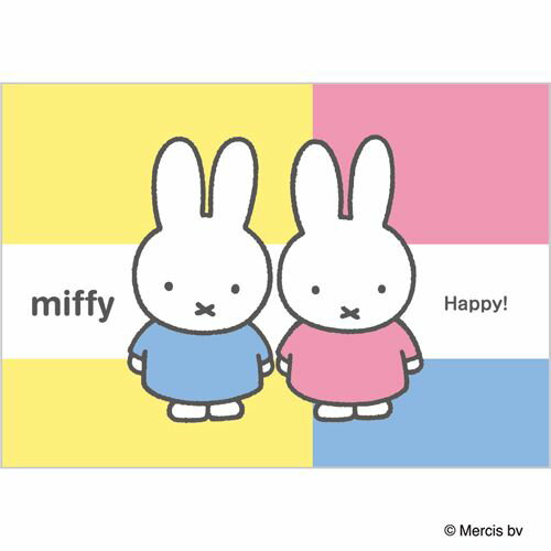 �ǥ��롼��/�ե��ȥǥ����󥫡���/�ߥåե��� PTCL-M101-1 Nakabayashi