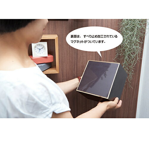 壁掛け棚 フック付 デコフック03[木製・裏面マグネット] 21064250 ナチュラル フック デコフック3連 ダイドーハント [2]