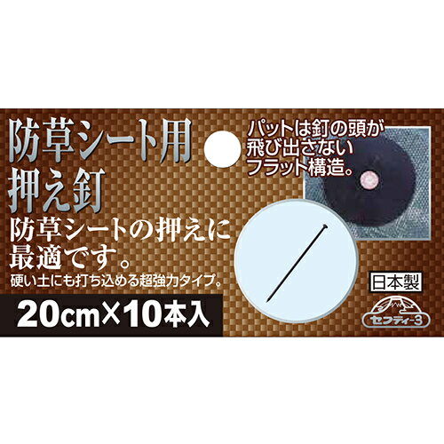 ���𥷡����Ѳ���ţ 20cm (���å�)10���� ���եƥ�-3