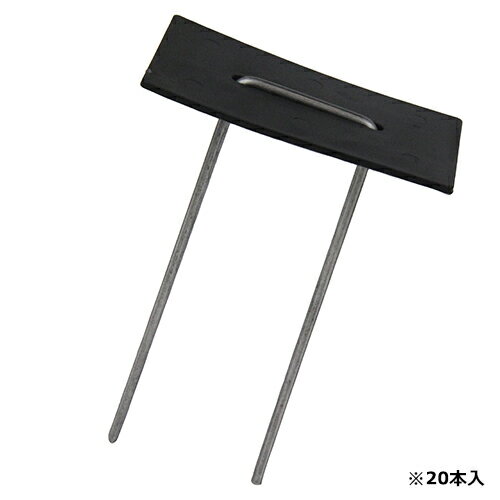 ���������ȥԥ󥻥å� (���å�)20���� ���եƥ�-3