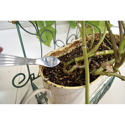 �إ��ե��ޥ� ���